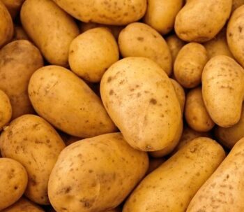 Aardappel vastkokende aardappelen 1KG