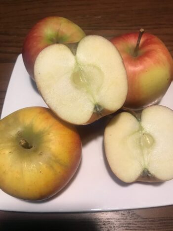 Appel Jonagold 1 KG